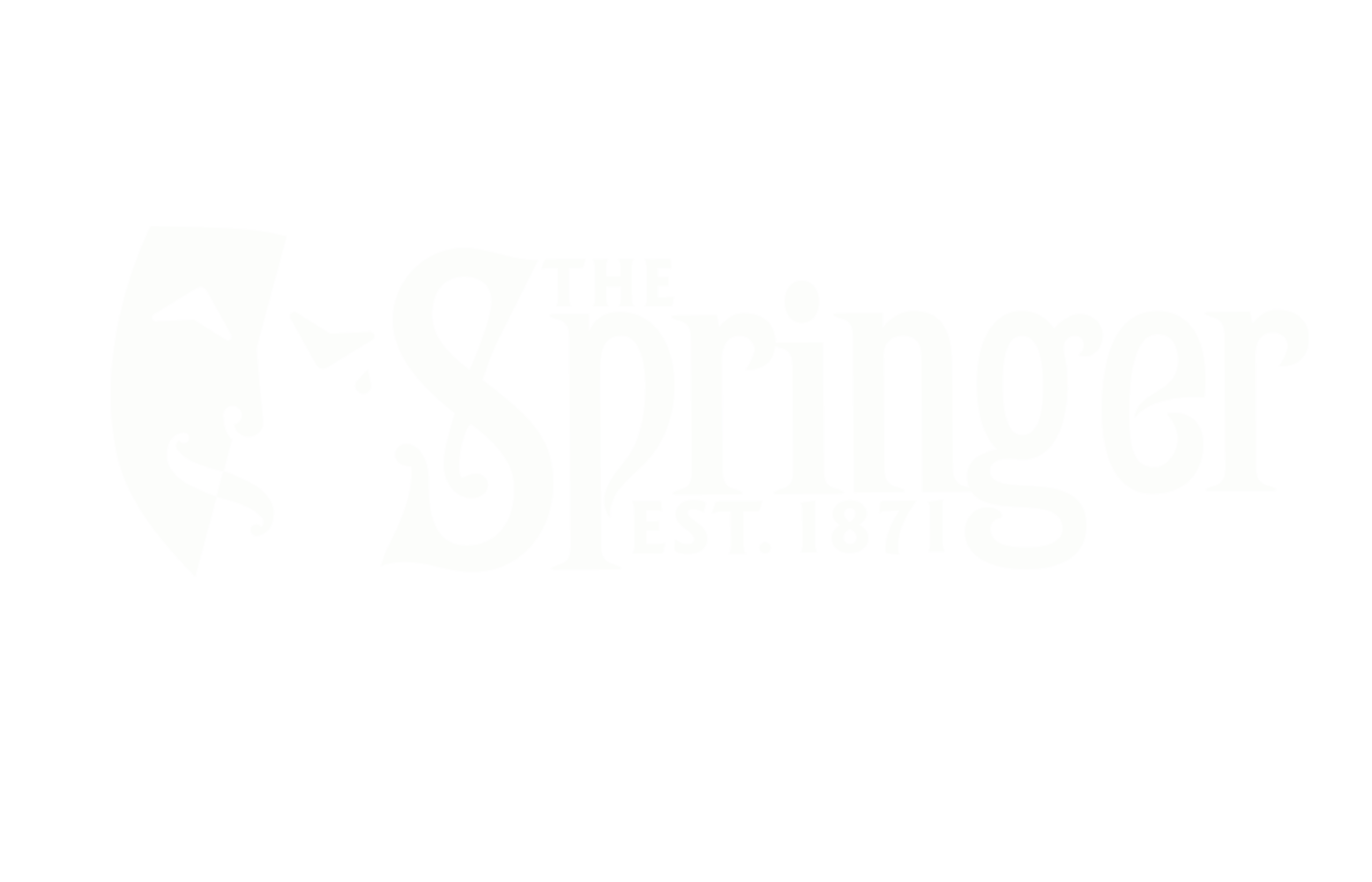 Springer Logo for Evite scaled